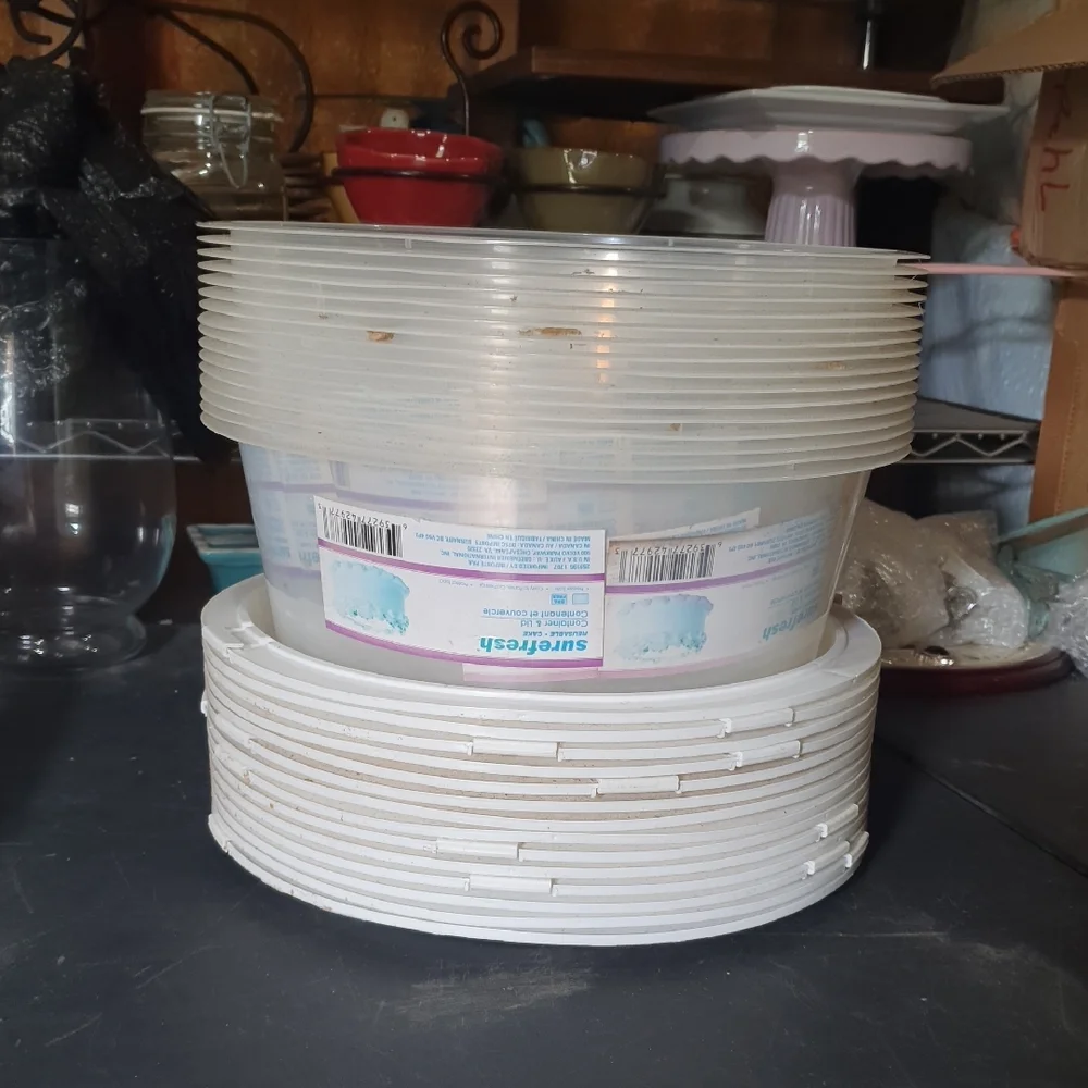 💜 Surefresh Clear and White Disposable Cake Container & Lid